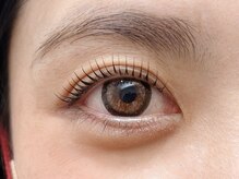 ウィスタリア フィールドプランシュ(WISTARIA FIELD-PLANCHES)/立ち上げデザイン