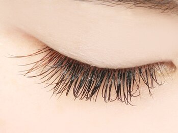 まつげエクステ専門店 シェリ(Cheri)/目尻単色★