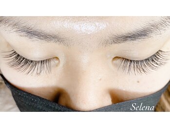 セレーナ(Selena)/高級セーブル