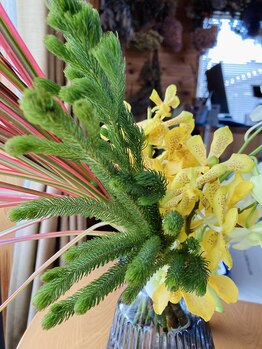 わたなべ整体院/