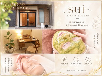 スイ(sui)の写真