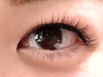 リーラ(Lila)/フラットラッシュ