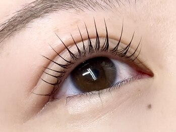 ミニョンアイラッシュデザインサロン くずは店/パリジェンヌラッシュリフト