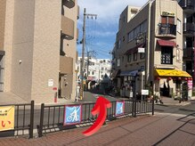 リノアネラ(Lino Anela)/