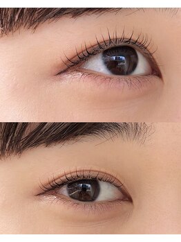 ノットイコール(≠ not equal)/根元立ち上げ/ラッシュリフト