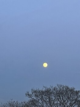 キラナ ヨガスタジオ(Kirana YOGA Studio.)/