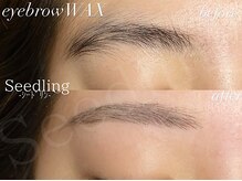 シードリン(Seedling)/眉毛ワックス