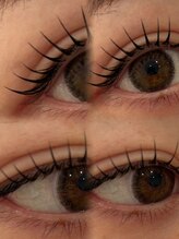 ジプソフィラ(Gypsophila)