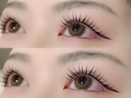 シュシュ(Shu Shu)の写真