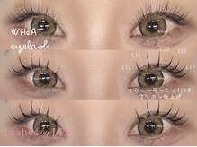 ウィート(WHeAT)/フラットラッシュ120