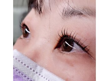 ティディーネスト(Tidynest)/