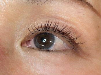 ウルカ アイラッシュ(uruka EYELASH)/フラットラッシュブラウン 120本