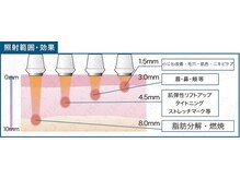 ウィズリリナ 新横浜(with Lilina.)/◆TV雑誌紹介で話題/新横浜/菊名