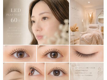 チック(chick)/LEDフラットボリューム60束