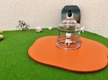 トーリ 代官山(taulli)/カッピングの虜（とりこ）