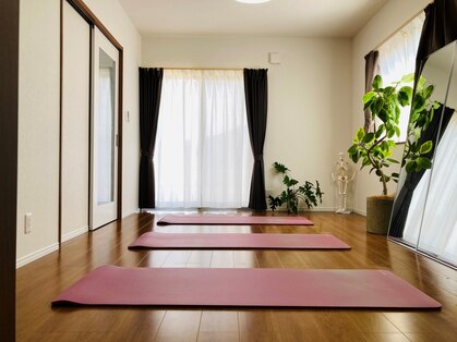 ネスタ(Nest(a))の写真