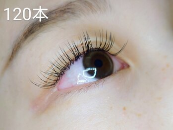 アポストロフィエス/フラットラッシュ120本