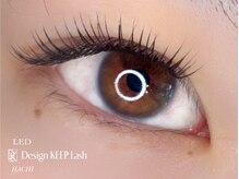 アイラッシュ ハチ(EYELASH 8)/デザインキープラッシュ100本