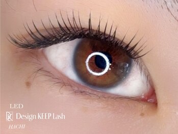 アイラッシュ ハチ(EYELASH 8)/デザインキープラッシュ100本
