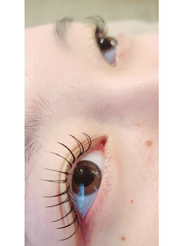 コア(Koa)/エクステパーマ80本