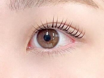 ルチア(Lucia)/ラッシュリフト上