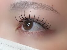 フリー#240(Free#240)/フラットラッシュ140本