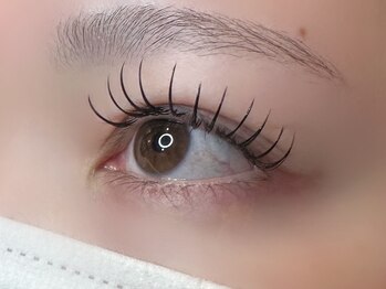 フリー#240(Free#240)/フラットラッシュ140本