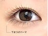 《11.12月限定》上下まつげパーマ ¥8400→¥7400