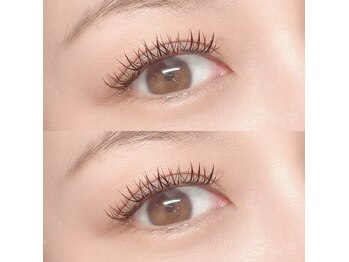 フーフロー(Fooflow)/パーフェクトラッシュ100束