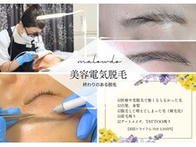 美容電気脱毛導入/白髪、眉毛の毛が脱毛可能です。