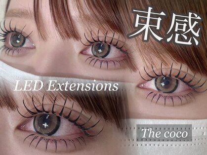 ザココ(The coco)の写真