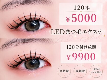 パレスの写真