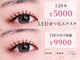 パレスの写真