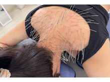 シラカワ 小倉院(SHIRAKAWA)