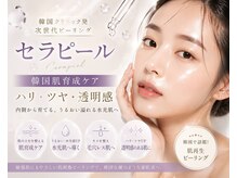 ファミリータイズカンパニーガデス(Family Ties Co. Goddess)の雰囲気(韓国で話題!ララピール進化版セラピールで水光ツヤ肌へ)