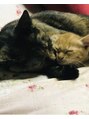 ロレインブロウ 水戸店&nbsp;家で飼ってる猫です♪