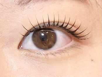 ソラネオリーブ 相模大野店(sola neolive)/【パリジェンヌ】まつ毛パーマ