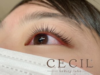 セシルビューティーラボ(CECIL beauty labo)/まつげパーマ☆C