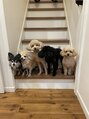 エミュ(emu)&nbsp;犬大好きです♪家で1匹、実家にも4匹わんこいます(*^^)v