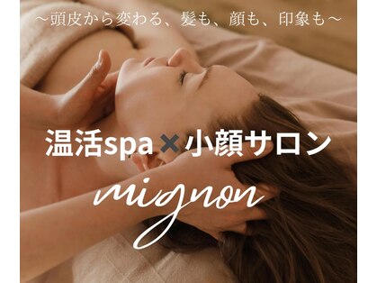 ミニョン(mignon)の写真