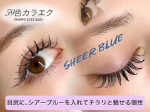 ポピー 川崎本店(POPPY)/59色カラエク