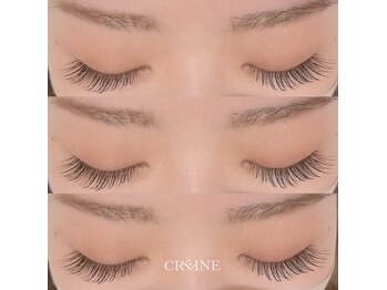 クレーヌ(CREINE)/フラット120本