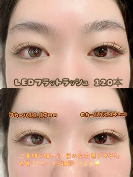 ドットイチイチマルイチ 銀座店(DOT1101)/LEDフラットラッシュ