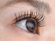 イーストアッカ アイラッシュ(East AkkA eyelash)/フラットマットラッシュ