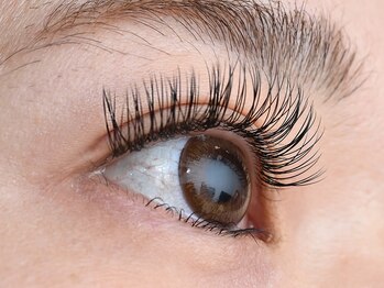 イーストアッカ アイラッシュ(East AkkA eyelash)/フラットマットラッシュ