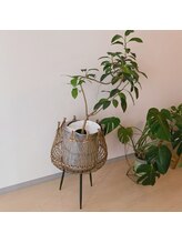 モイ(moi.)/◆観葉植物◆