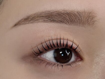 アアラ('a'ala)の写真