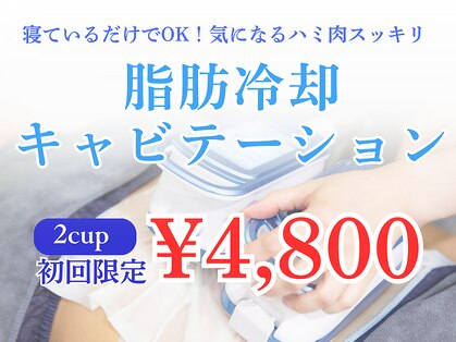 クレビア(Clevia)の写真