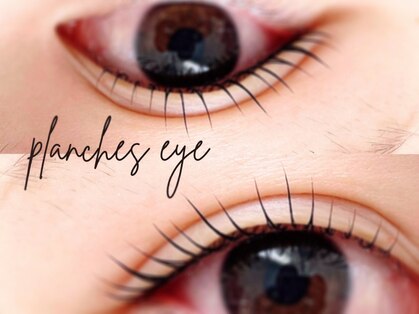 ウィスタリア フィールドプランシュ(WISTARIA FIELD-PLANCHES)の写真