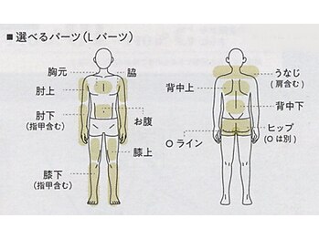 ケードット カシェットプラス(K.CACHETTE+)/K.CACHETTE＋　メンズ脱毛